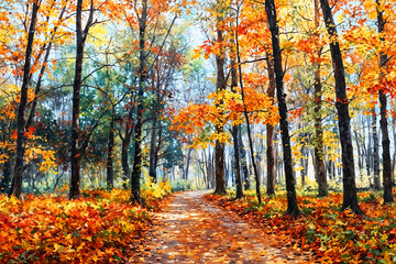 Autumn park path surrounded by colorful fall foliage and trees