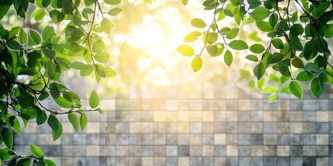 Sunlight filtering through green leaves with a tiled wall background creating a serene, natural atmosphere ideal for copy space design.