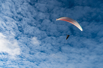 International Paragliding Festival. Extreme paraglider pilot flying over the beach, adventure...