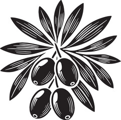 Black Color Olive Silhouette Vector Illustration, Solid White Background