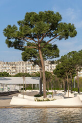 Fototapeta premium City park Krasnodar or Public landscape 'Galitsky park'. Fountain Three streams turning into complex of fountains Pergola with pines. Krasnodar, Russia – April 04, 2024