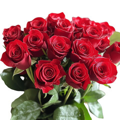 Obraz premium bouquet of red roses