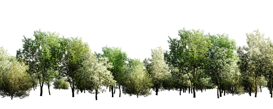 Lush green tree line isolated on transparent background