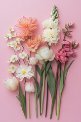 knolling flowers in pastel colors