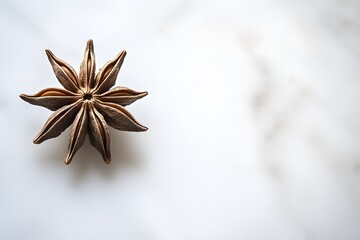 Single star anise on a white marble surface