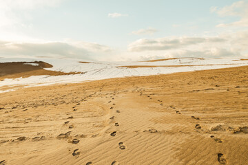 雪が積もった冬の鳥取県の鳥取砂丘　フィルム風