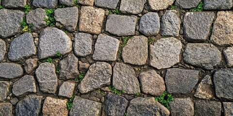 Granite cobblestone texture with embedded green grass patches, showcasing an intricate pattern of muted gray and earthy tones arranged in a random layout.