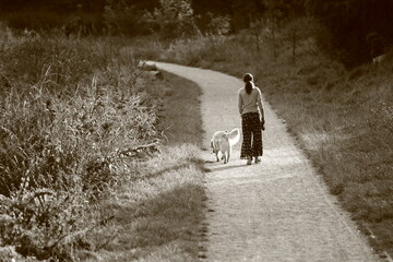 a woman leads a dog on a leash along a path, illuminated by the side light of the sun, black and...