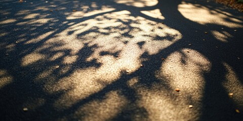 Sunlight filtering through tree branches casting intricate shadows on asphalt surface with warm golden hues and textured details in the foreground