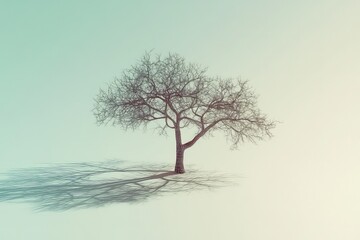 A minimalistic abstract wireframe of a tree, showcasing its skeletal structure and shadows on a gradient background.