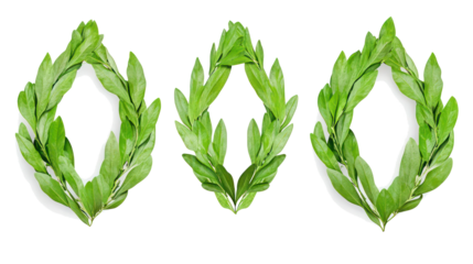 Olive Wreath on Transparent Background Generative AI