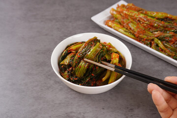 Kimchi
김치