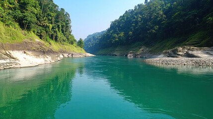 Serene Green River in Lush Forest
