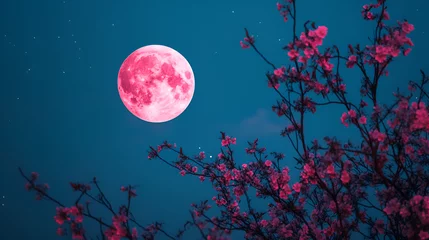 Poster Pink Moon Rising Over Blossoming Cherry Tree Branches