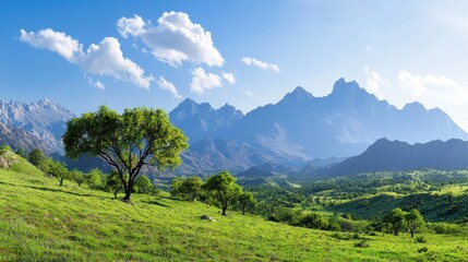 Obraz premium Mountain landscape with lush green field