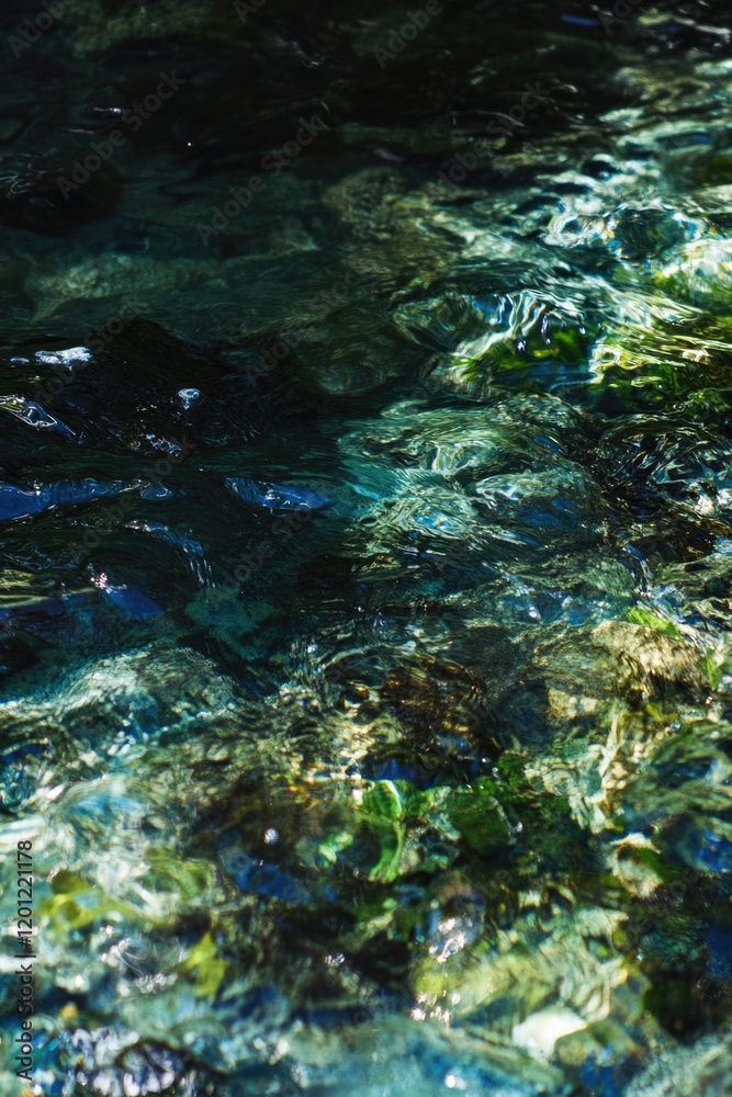 Poster a close-up shot of a body of water featuring rocks and possibly some surrounding environment