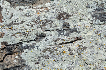 Textured rock background in the wild nature