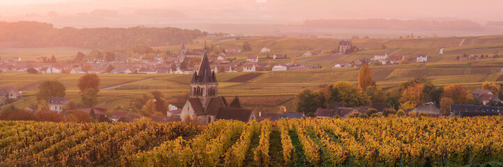 Ville Dommange and its vineyards, Champagne, France