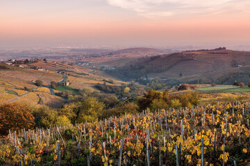Autumn vineyards, Beaujolais region, Rhone Alpes, France