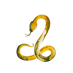 watercolor Golden Snake Pattern, 2025 Year of the Snake Decoration, 12 Zodiac Signs of the Snake, Chinese Year of the Snake, New Year, Lunar New Year