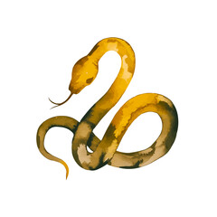 watercolor Golden Snake Pattern, 2025 Year of the Snake Decoration, 12 Zodiac Signs of the Snake, Chinese Year of the Snake, New Year, Lunar New Year
