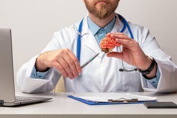 doctor is pointing pen anatomical model human brain. Help and care concept