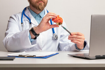 doctor is pointing pen anatomical model human brain. Help and care concept