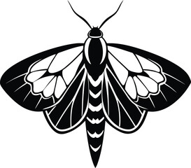 Cute Moth silhouette vector illustration, Moth line art vector, Moth vector design