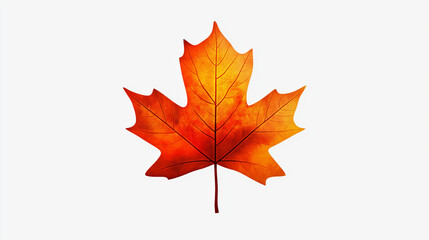red maple leaf