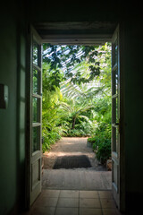 Fototapeta premium Open doors in greenhouse with various ferns, palms and other tropical plants in sunny day. Glasshouse, greenery, hothouse concept