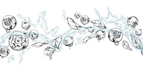 Blueberry blackberry flying in water splashes with drops, hand drawn in ink vector, ripe sketch forest berry and leaves. Seamless banner illustration for restaurant, cafe menu, farmers market, wedding