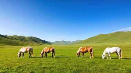 Naklejka premium Horses Grazing in Green Meadow