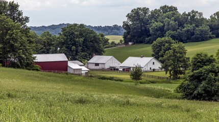 Obraz premium classic american farm, scenic rural view, green fields and barns, scenic countryside farms, countryside with farmhouses, simple farm life, picturesque rural landscape, green countryside view, farm bui