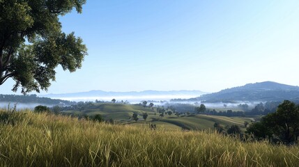 Serene Morning Landscape