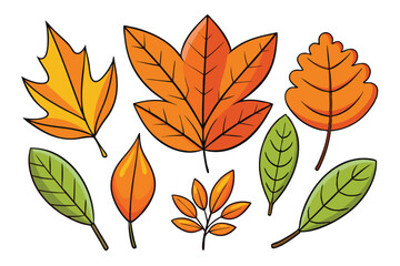 Obraz premium Vector autumn leaves in a variety of shapes and colors, featuring orange and green hues, representing the beauty of the fall season