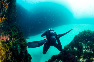 scuba diver in wetsuit and fins diving near sandy bottom of deep blue ocean with school of fish,...