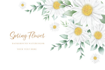 Hand drawn watercolor daisy flower background