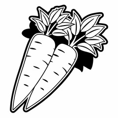 carrot illustration