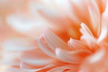 A close-up shot of a beautiful flower with blurred background
