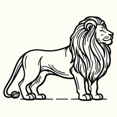 Lion Sketch Drawing Line Art Animal Wildlife