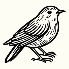 Bird Sketch Drawing Line Art Animal Wildlife