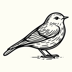 Bird Sketch Drawing Line Art Animal Wildlife