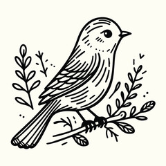 Bird Sketch Drawing Line Art Animal Wildlife