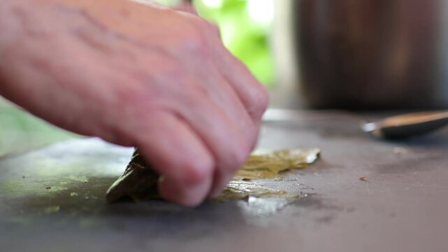 People cook dolma food.
Grape leaves stuffed with minced meat.