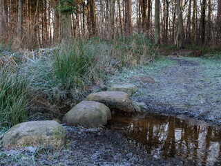 Winterswijk Natuurgebied  Willink Weust, Achterhoek, Gelderland province, the Netherlands
