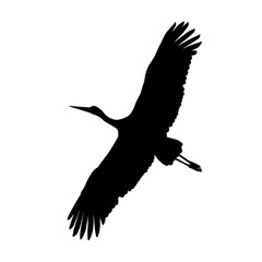 Silhouette of a stork. Bird. Black color.