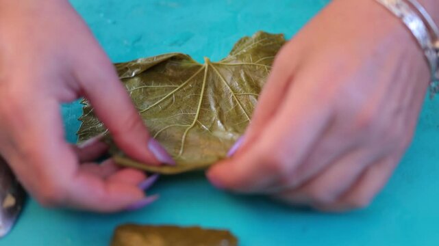 People cook dolma food. Grape leaves stuffed with minced meat.	