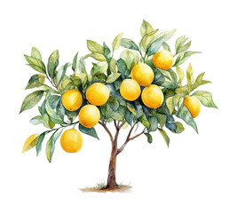 Vibrant lemon tree with leaves watercolor botanical nature aesthetic isolated on transparent background png