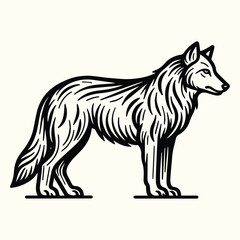 Wolf Sketch Drawing Line Art Animal Wildlife