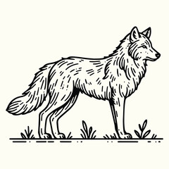 Wolf Sketch Drawing Line Art Animal Wildlife © PixSham